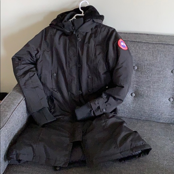 Canada goose replica - Picture 2 of 6